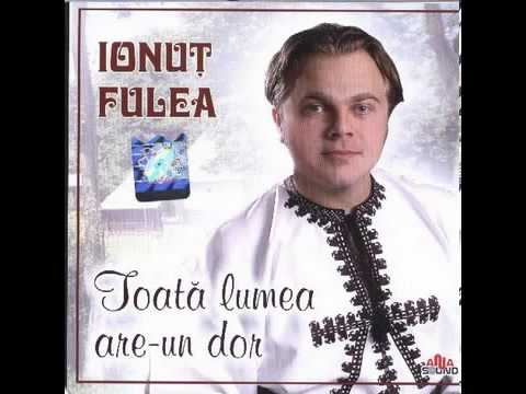 Ionuț Fulea - Ioane, Ioane