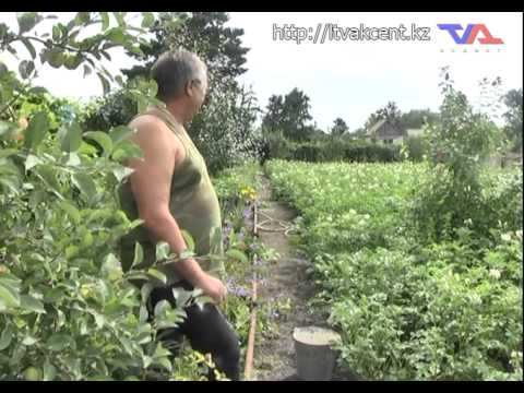 Лисаковск, выпуск программы «День» от 10 июля 2014 г.