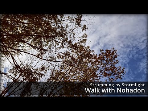 Walk With Nohadon The Bondsmith Song - Strumming by Stormlight