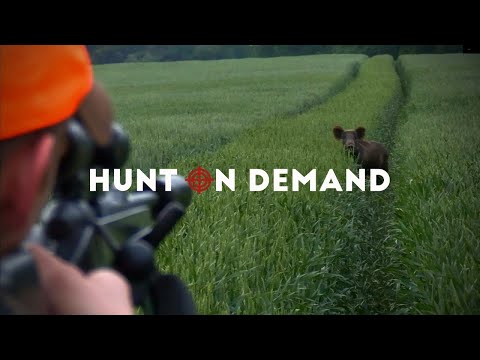 Weizenschweine 6.0 - Hunter Brothers Hunt on Demand Trailer