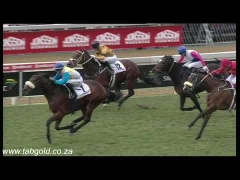 20160702 Greyville Race 3 won by PUNTA ARENAS