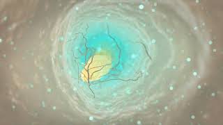 Sensodyne Potassium Formulations Mode of Action Illustrative Demonstration