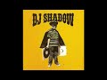 DJ Shadow - Dats My Part