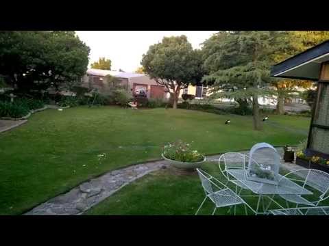 20141006 18 32 Goose Fight