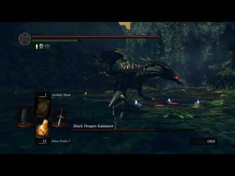 DARK SOULS™: REMASTERED Kalameet NG+ first attempt