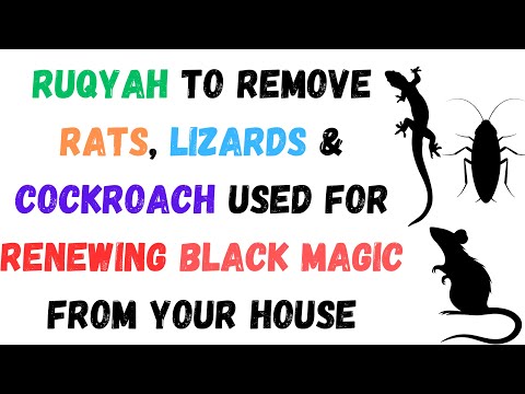 Ruqyah to remove Rats, Lizards & Cockroach used for renewing Black Magic from your house