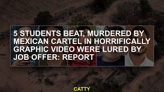 5 students killed by Mexico Kartel on a terrible graph were defeated, withdrew with a job offer Repo