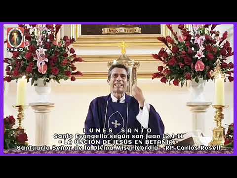 HOMILÍA - Padre Carlos Rosell, Párroco