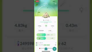 キノココ ポケットモンスター アブソル ゼラオラ コオリッポ キノココ ポケットモンスター アブソル ゼラオラ コオリッポ