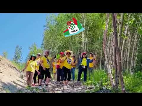 2021 Virtual ANCOP Walk - Edmonton Walks for ANCOP!