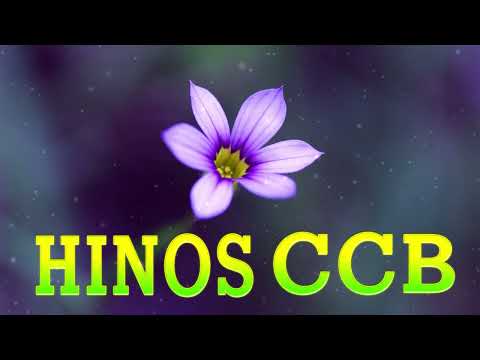 6 Horas de Lindos Hinos CCB   Hinário 5 Cantados