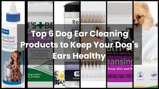 【Dog ear cleaning】Top 6 Dog Ear Cleaning Products to Keep Yo