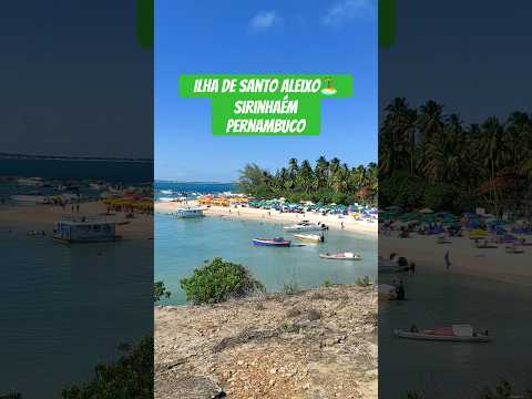 Ilha de Santo Aleixo🏝️ Sirinhaém Pernambuco #sirinhaém #ilhadesantoaleixo #recife #pernambuco