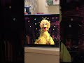 Sesame Sings Karaoke VHS And DVD 2003