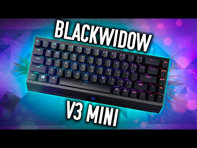 Bàn Phím Razer BlackWidow V3 Mini HyperSpeed - Green Switch