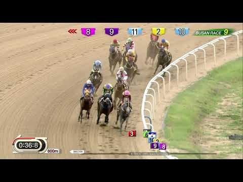 170811 Busan R9 1300m