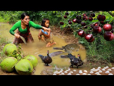 Catch and cook fish with turtle for survival/ Cooking duck curry with egg for dinner