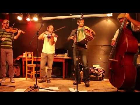 Maschanzka - Kolorabi