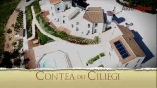 preview picture of video 'Visit to CONTEA DEI CILIEGI (Cherry County)'