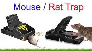 Mouse Traps Indoor Rat Trap for House 🐭 Powerful Mouse Killer Trap Review & Test