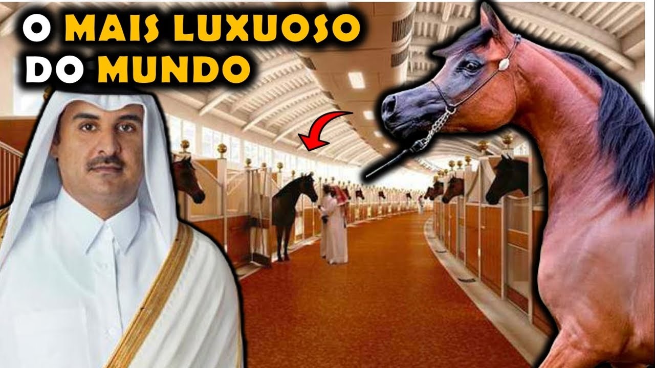 O INCRÍVEL MAIOR E MAIS LUXUOSO HARAS DO MUNDO