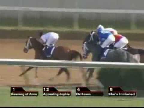 2006 Breeders Cup Juvenile Fillies - Dreaming of Anna