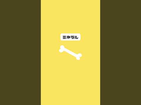 野菜のキャベツ:ビタミン豊富なパワー野菜に関する興味深い事実 植物