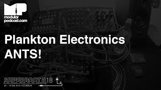 Video thumbnail for Superbooth 2018 - Plankton Electronics Ants! Semi Modular System by DivKid