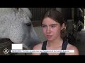 HORSE RIDING Victoire In The Saddle For The French Championships In Lamotte Beuvron