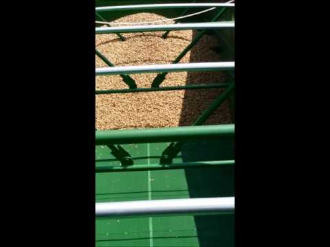 Drying Trailer Interior