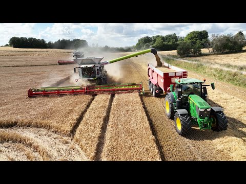 Claas Lexion 8800 with 45 ft. Convio 1380 Header Harvesting Barley | Big Harvest