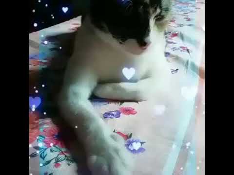 Our Charu is back 🙂🙂🙂☺️☺️