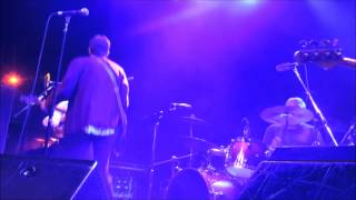 The Dream Syndicate"Definitely Clean"-LIVE The Fillmore SF Dec 5, 2013 Paisley Underground Bangles