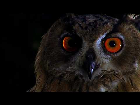 Digitale Kindertour Teutoburger Wald