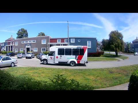 STREET CAM TV  VLOG 198