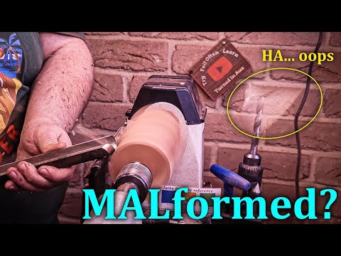 Malformed Yet Magnificent | Turning Historic Blackwood Twig Pot