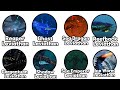 Every Leviathan In Subnautica Explained In 17 Minutes