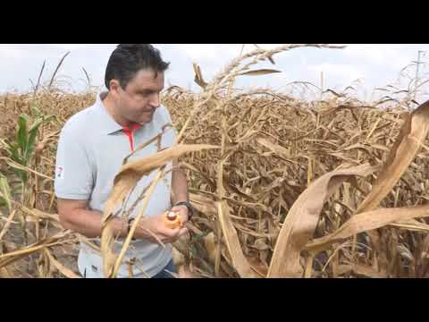 Može bolje ep. 76 17.09.2018. NAJAVA