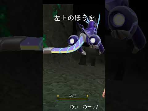 園芸 ドッグバイオレット