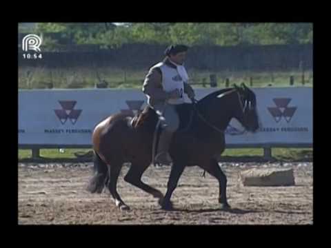 Sul RS – 4° lugar machos – RZ Assim És Embustero da Carapuça-Te