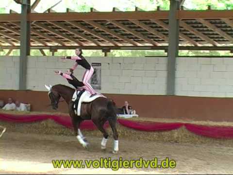 Süddeutsche Meisterschaft 2010 - Juniorteams 03 Bad Friedrichshall