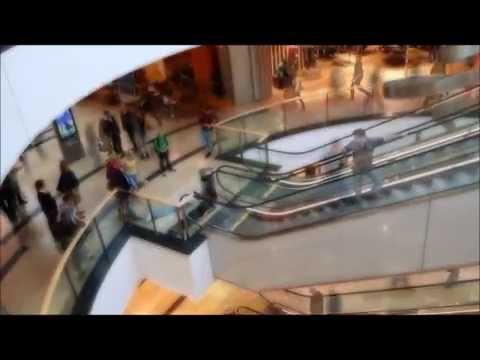 Plank like VingsterTV