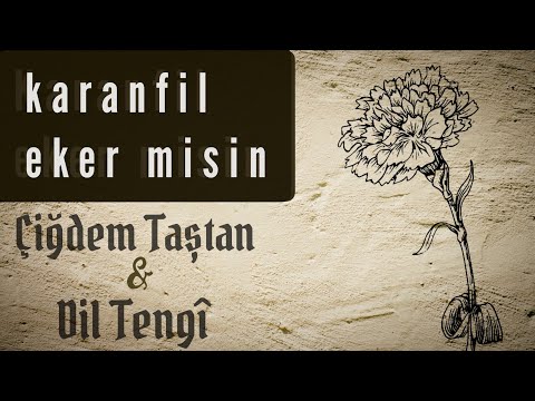 Çiğdem Taştan & Dil Tengî - Karanfil Eker Misin