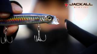 NEW Salt Minnow by Hitoshi Shimada