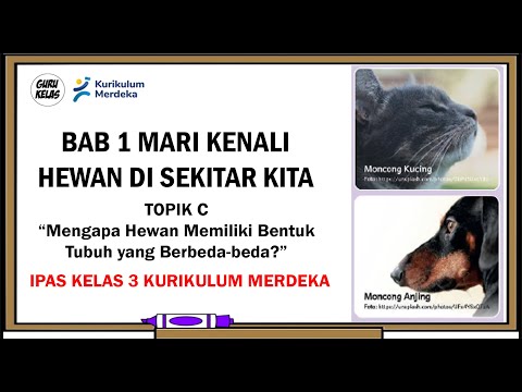 BAB 1 MARI KENALI HEWAN DISEKITAR KITA Topik C Mengapa Hewan Memiliki Bentuk Tubuh yang Berbeda-beda