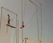 Trapeze Catch David