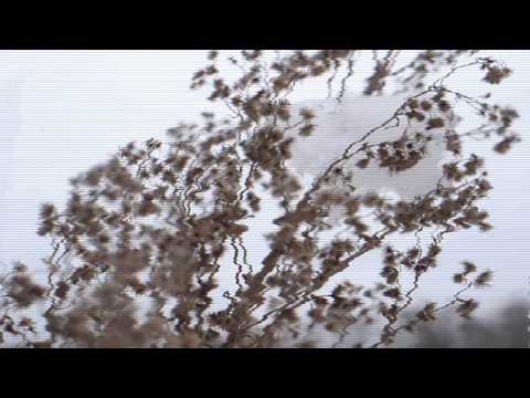 KSENIASERAYA: fashion video