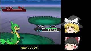テスト動画