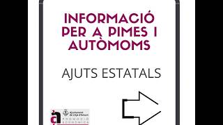Ajuts estatals