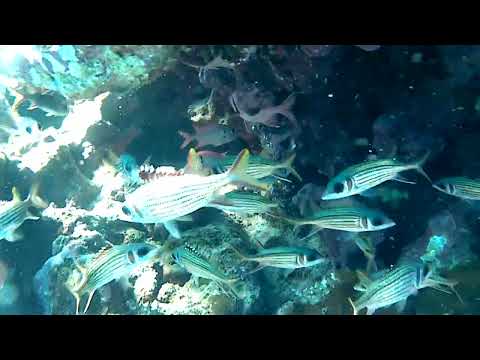 20170108 125040A   Trim